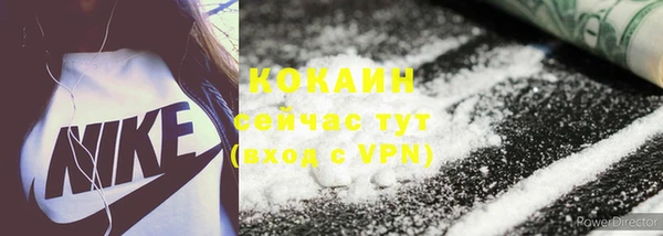 a pvp Новозыбков