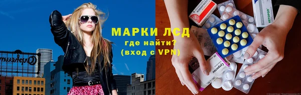 a pvp Новозыбков