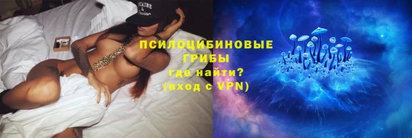 a pvp Новозыбков