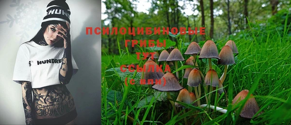 a pvp Новозыбков
