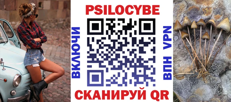 даркнет сайт  Сосновка  Галлюциногенные грибы Psilocybine cubensis 