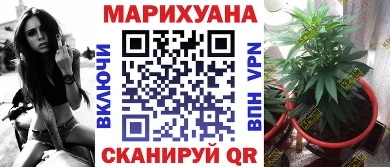 Марихуана ГИДРОПОН Сосновка